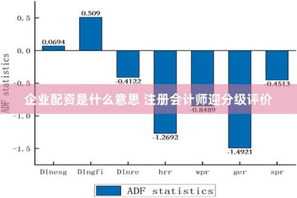 企业配资是什么意思 注册会计师迎分级评价