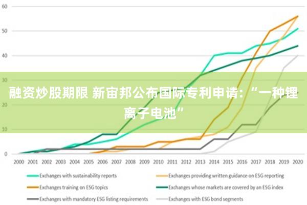 融资炒股期限 新宙邦公布国际专利申请: “一种锂离子电池”