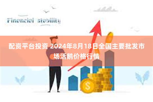 配资平台投资 2024年8月18日全国主要批发市场活鹅价格行情