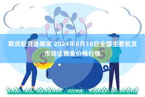 期货配资选哪家 2024年8月18日全国主要批发市场活鳜鱼价格行情