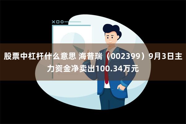 股票中杠杆什么意思 海普瑞（002399）9月3日主力资金净卖出100.34万元