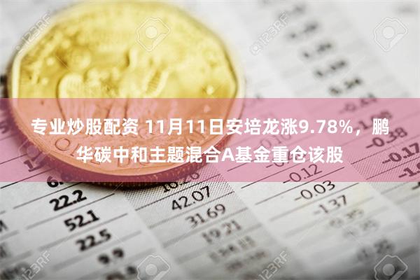 专业炒股配资 11月11日安培龙涨9.78%，鹏华碳中和主题混合A基金重仓该股