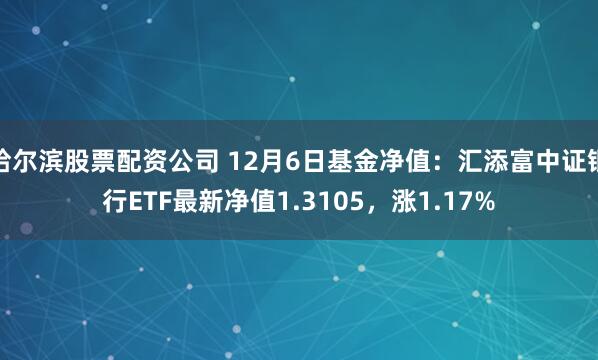 哈尔滨股票配资公司 12月6日基金净值：汇添富中证银行ETF最新净值1.3105，涨1.17%