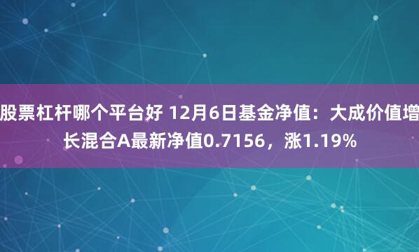 股票杠杆哪个平台好 12月6日基金净值：大成价值增长混合A最新净值0.7156，涨1.19%