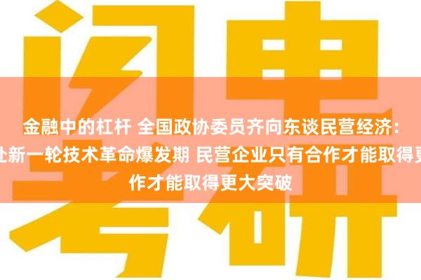 金融中的杠杆 全国政协委员齐向东谈民营经济：中国正处新一轮技术革命爆发期 民营企业只有合作才能取得更大突破