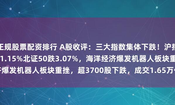 正规股票配资排行 A股收评：三大指数集体下跌！沪指跌0.39%创业板指跌1.15%北证50跌3.07%，海洋经济爆发机器人板块重挫，超3700股下跌，成交1.65万亿缩量772亿