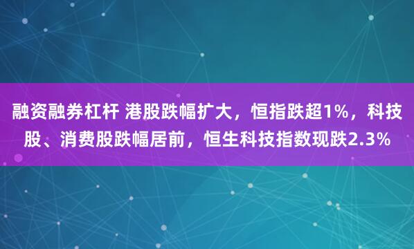 融资融券杠杆 港股跌幅扩大，恒指跌超1%，科技股、消费股跌幅居前，恒生科技指数现跌2.3%